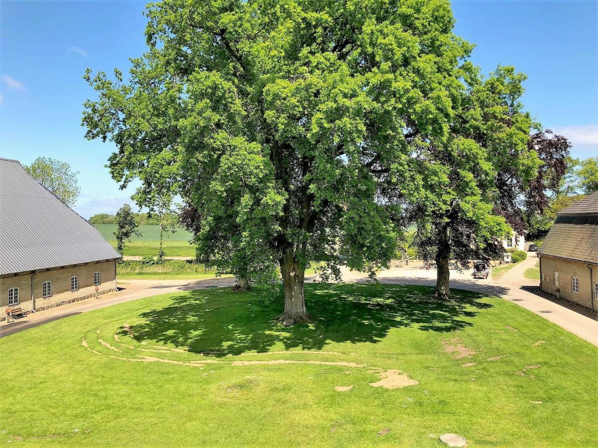 Ferienwohnungen Herrenhaus Gut Oestergaard Steinberg  Exterior photo